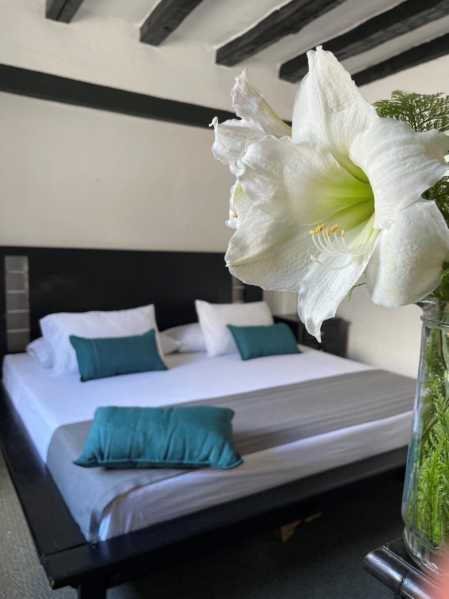 Hotel Premium Real Medellín Kültér fotó